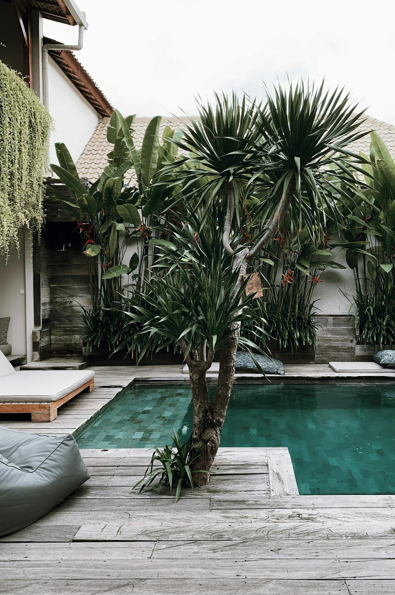 pexels-shvets-production-7565602